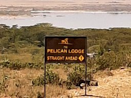 Pelican Lodge